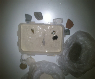 علوم